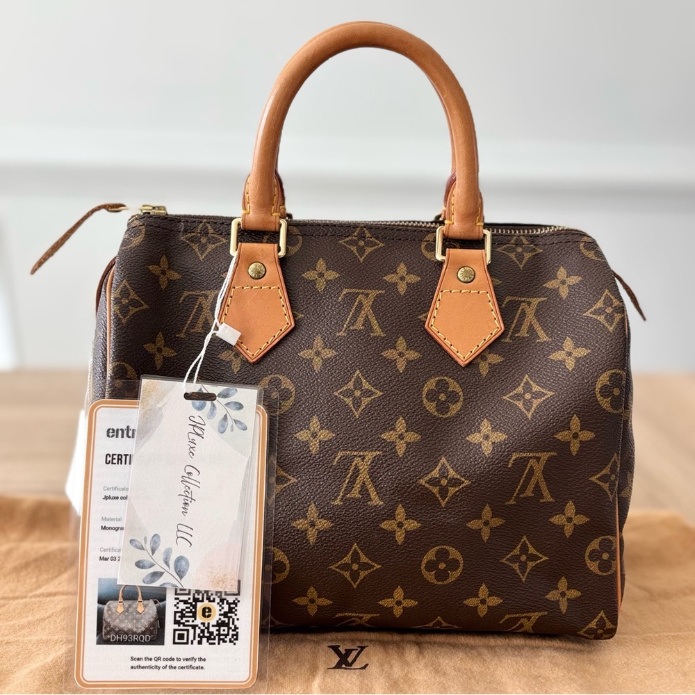 Louis Vuitton Speedy 25 bag Vintage